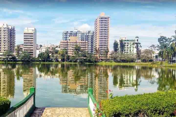 Rica em enxofre, cálcio, ferro, zinco e magnésio, ela é capaz de acelerar o processo de renovação celular, além de nutrir, purificar e cicatrizar a pele. 