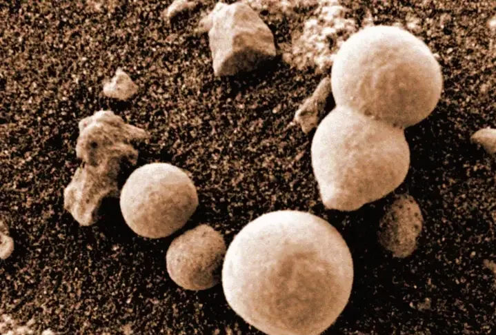 Marte também tem sido alvo de fake news. Em 2021, foi divulgado que fungos tinham sido encontrados no planeta, mas depois a informação foi desmentida por cientistas.