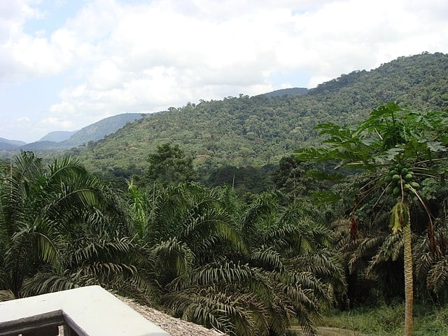 A capital Malabo é a cidade mais antiga. Outra atração é o Parque Nacional Monte Alén (foto), criado em 1990,onde vivem espécies , como o sapo golias, o maior sapo do mundo. 