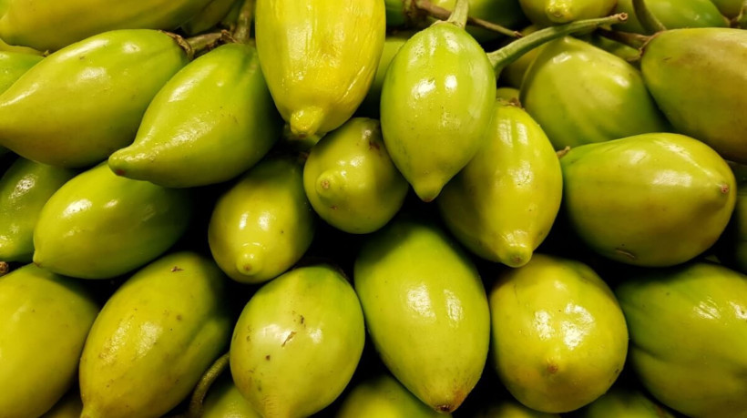 Amplamente produzido no Brasil, o jiló é rico em nutrientes que oferecem inúmeros benefícios para o corpo (Imagem: Marmaide | Shutterstock) 