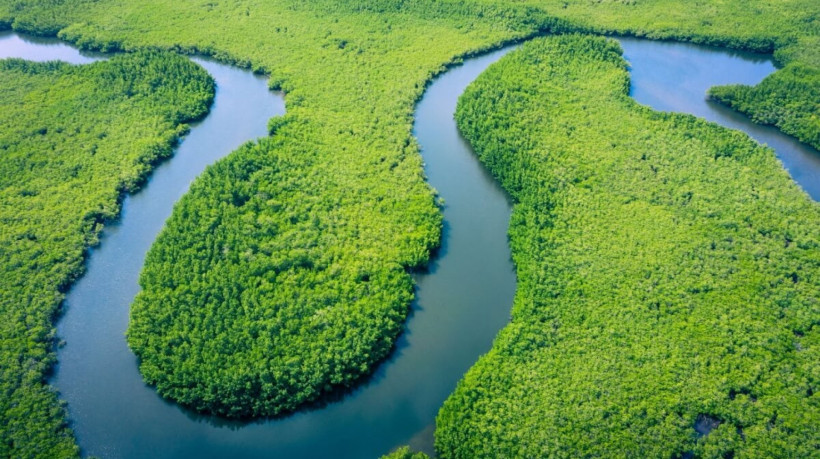 O Brasil tem a maior bacia fluvial mundial (Imagem: Curioso.Photograp | Shutterstock)