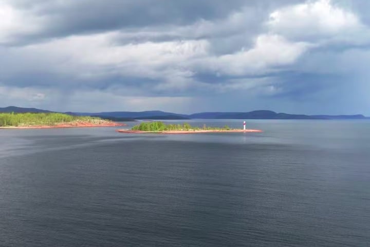 A descoberta revela que uma área de 500 km no Mar Báltico é coberta por uma enorme população de clones, possivelmente a maior já registrada pela ciência.