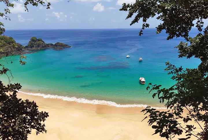 Em Fernando de Noronha, há lugares esplendorosos e os passeios de barco são muito usados para observação de animais como golfinhos e tartarugas, além de permitir acesso à Baía do Sancho e Baía dos Porcos. 