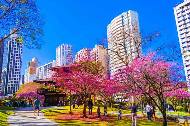 Restaurantes criam menus especiais, e a mídia dedica ampla cobertura ao evento, reforçando seu impacto cultural e econômico.

