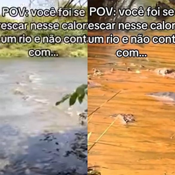 Enquanto se refrescavam no Rio Turvo, localizado na região sudoeste de Goiás, um grupo de turistas foi surpreendido ao topar com uma sucuri gigante.