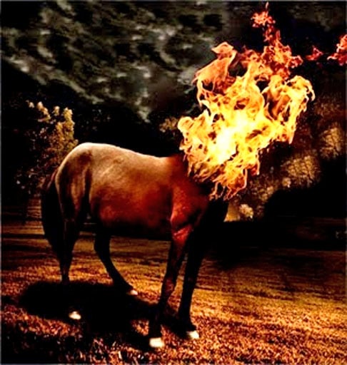 Mula sem cabeça - Diz respeito a uma maldição que caiu sobre uma mulher após ela iniciar um namoro com um padre. Assim, na virada de quinta para sexta-feira, ela se transforma no animal – fruto do cruzamento do jumento com a égua. 