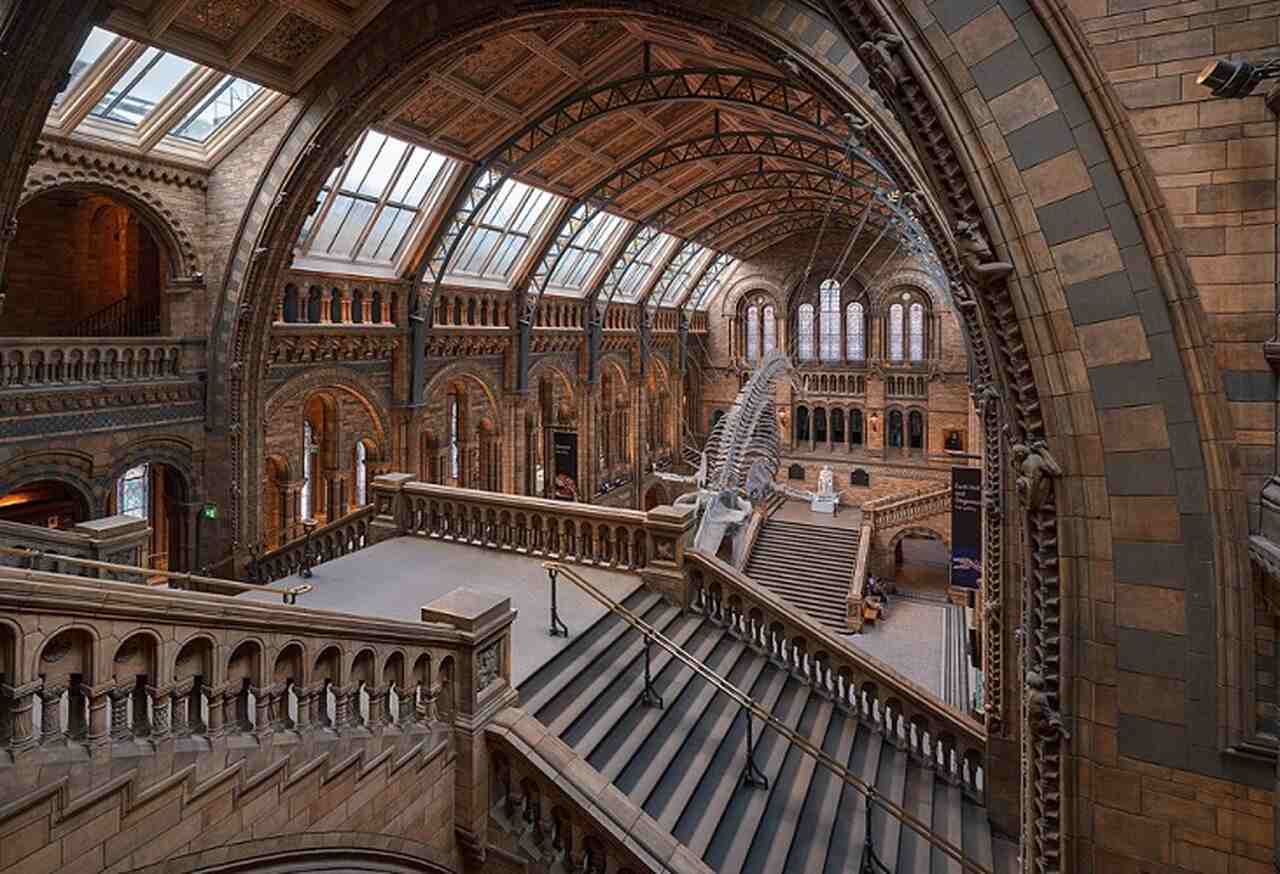 Museu de História Natural (Natural History Museum) - Descrição: Inaugurado em 1881, o Museu de História Natural é famoso por sua arquitetura vitoriana e vastas coleções, incluindo fósseis de dinossauros e a icônica réplica do esqueleto de uma baleia azul - Localização: South Kensington - Referências Históricas: O museu foi criado a partir da coleção de espécimes do Museu Britânico