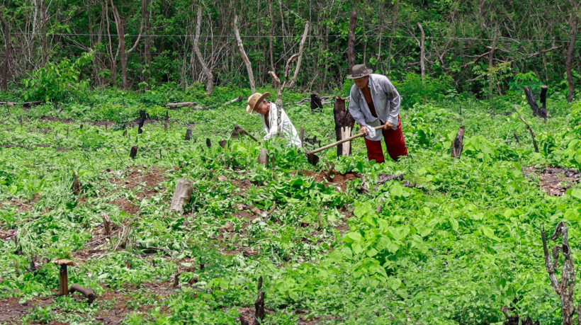 Chuvas dos primeiros três meses de quadra chuvosa ficaram dentro da normalidade no Estado