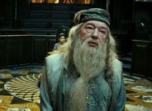 Alvo Dumbledore (Richard Harris / Michael Gambon) – Diretor de Hogwarts e um dos bruxos mais poderosos. Sábio e carismático, guia Harry na luta contra Voldemort, mas esconde segredos sobre seu próprio passado.
