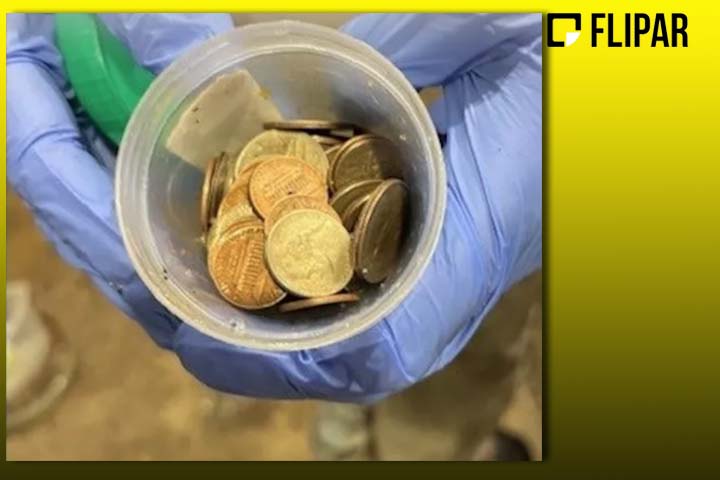 No procedimento, a equipe recorreu a uma câmera e retirou com sucesso cerca de 70 moedas das entranhas do jacaré.
