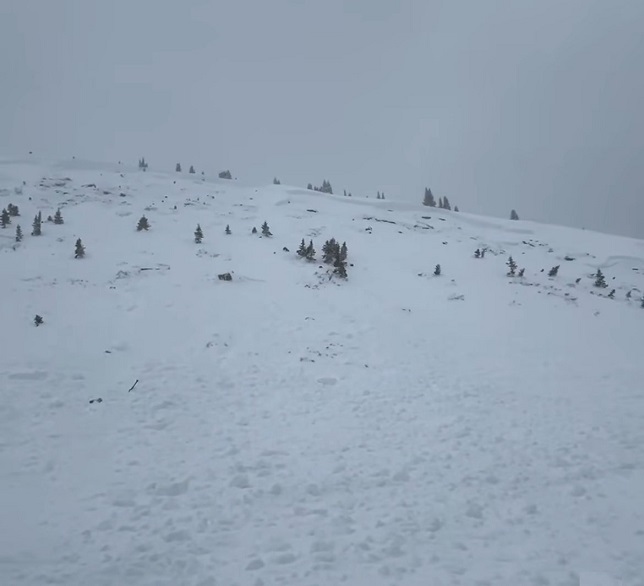 Segundo o Centro de Informações sobre Avalanches do Colorado (CAIC), a avalanche foi de 150 metros de largura por 100 metros de comprimento.
