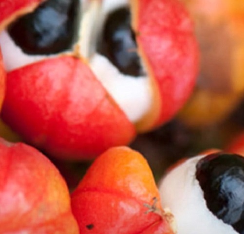 A semente, que é o principal componente utilizado, contém entre 4% e 8% de cafeína, além de outras substâncias benéficas como teobromina e teofilina, que são compostos encontrados também no chocolate e no chá, respectivamente.