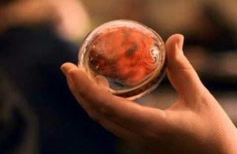 Ocarina da Recordação – Pequena bola mágica que brilha quando quem a segura esquece algo importante. Neville Longbottom recebe uma, mas nunca lembra o que esqueceu.