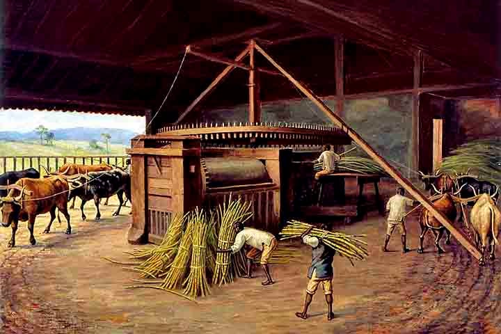 O bagaço que resulta da moagem pode ser queimado em caldeiras para produzir vapor. Ele é direcionado para turbinas especiais e gera bioeletricidade ou energia elétrica da biomassa. 