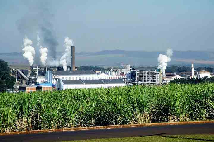 Durante a Idade Média, o açúcar era um produto de luxo na Europa, sendo usado, principalmente, em medicamentos e como adoçante para os mais ricos. 