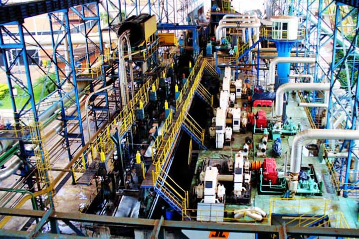 Fonte de energia, a cana é indispensável quando se fala em um desenvolvimento mais sustentável. Isso porque ela surge como uma alternativa de combustível renovável e é capaz de substituir o petróleo sem causar danos ambientais.