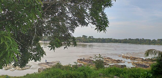 La Pedrera é um povoado colombiano com economia baseada na pesca, agricultura e comércio fluvial.
A comunicação e os transportes entre as duas localidades dependem quase totalmente de barcos e pequenas embarcações.