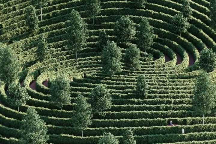 Ao portal internacional Dezeen, Chris Precht afirma que se questionou “como seria um parque e como funcionaria se tivesse as regras de distanciamento social como diretriz de design? Além de indagar sobre o que podemos aprender com um espaço como este que ainda tem valor depois da pandemia?”.