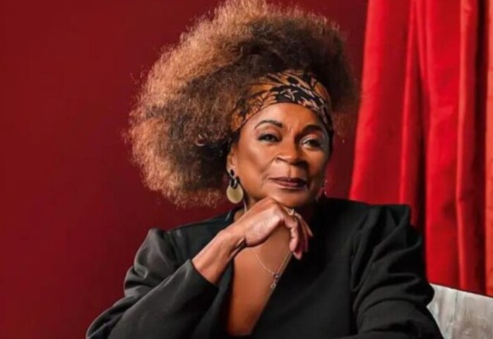 Fundada há mais de cem anos (em 1918) pelo ator Leopoldo Fróes em parceria com o jornalista Irineu Marinho, a Casa dos Artistas - como também é chamada - é presidida pelo ator Stephan Nercessian e tem a atriz e cantora Zezé Motta no cargo de vice-presidente.
