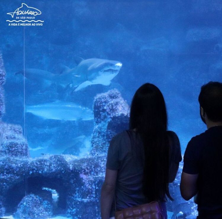 O local conta com espécies de várias regiões do mundo, como como África, Indonésia, Austrália, Amazônia, Pantanal e Patagônia.