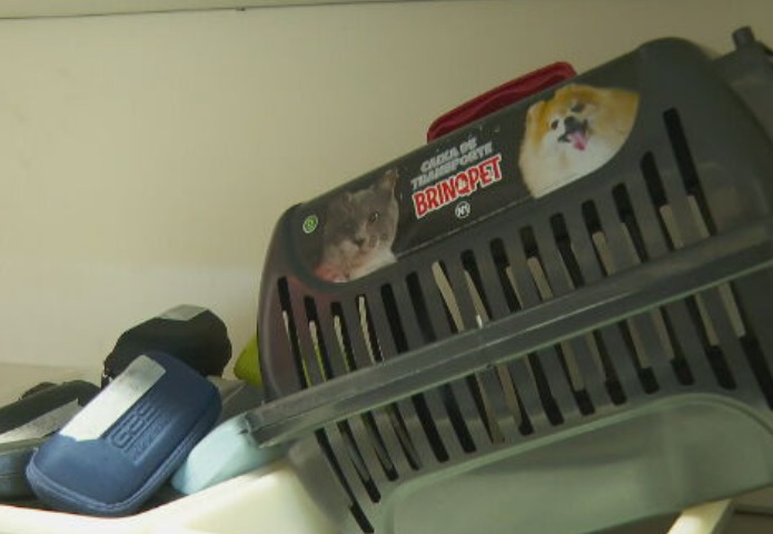 Há também caixas de diversos tamanhos, inclusive as preparadas especialmente para o transporte de animais domésticos.