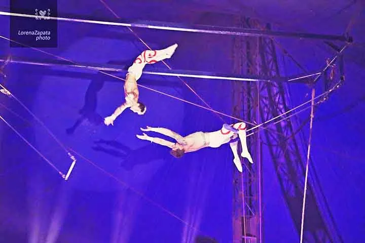 Seus personagens, como palhaços, acrobatas, malabaristas, mágicos e domadores, desempenham papéis essenciais e refletem a diversidade artística do espetáculo.