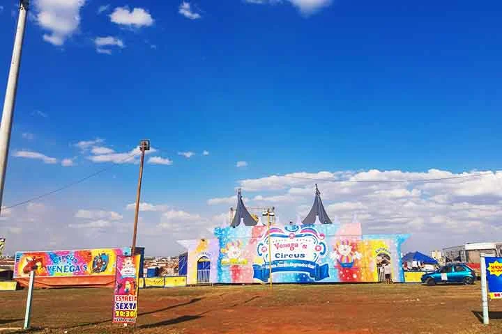 Todavia, a utilização de animais nessas apresentações sempre enfrentou críticas devido às condições em que eles eram mantidos. O aumento dessa conscientização trouxe restrições legais em diversos países, proibindo o uso de animais selvagens nos circos.