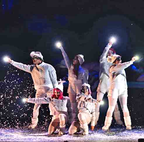 O novo circo, como o Cirque Du Soleil, é um movimento recente que adiciona às técnicas tradicionais a influência de outras linguagens artísticas como a dança e o teatro.