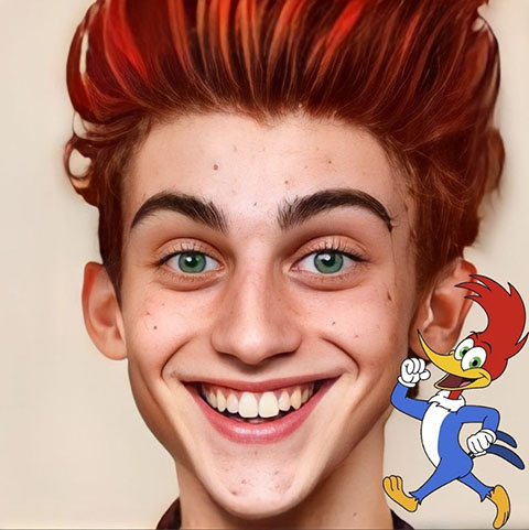 Já o personagem pica-pau, que é inspirada numa espécie de ave verdadeira, teria esse rosto.