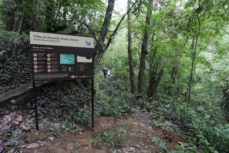 Quando alguma é encontrada, é natural comemorar. Em 2023, pesquisadores da Universidade Federal Rural do RJ e do Jardim Botânico do RJ encontraram duas no Parque Estadual da Serra da Tiririca.