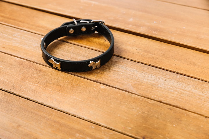 Dentro da lixeira, também foram encontrados a coleira e outros pertences do cachorro. 