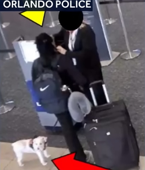 As câmeras de segurança flagraram os momentos anteriores à morte do cachorro. A passageira conversava com um funcionário da Latam enquanto segurava seu cachorro. Pouco depois, ela entrou no banheiro e saiu menos de 20 minutos depois. Passou pelo controle de segurança e embarcou no avião já sem o animal.