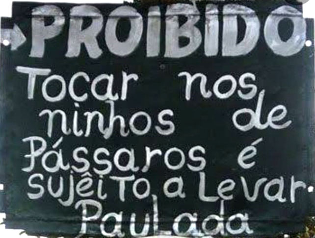 Aqui tem mais um bem nervoso: Proibido tocar nos ninhos de pássaros. Sujeito a paulada.