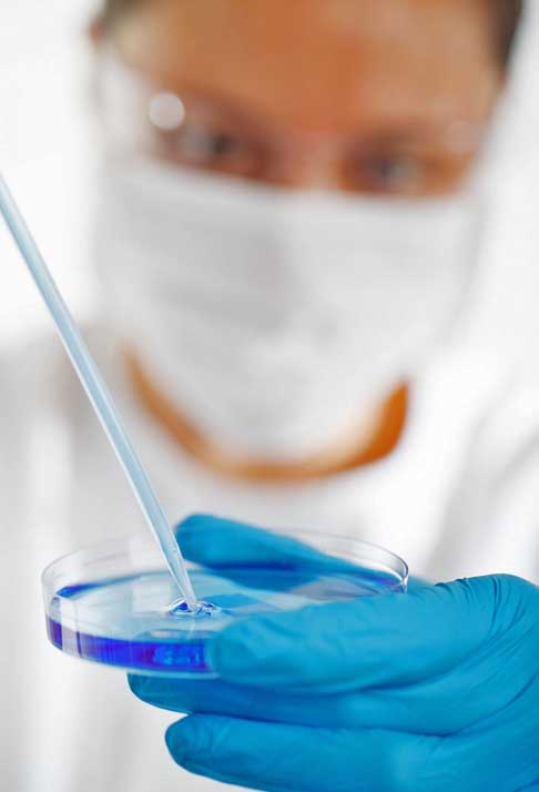 A equipe de cientistas extraiu células-tronco de embriões de macacos e injetou em embriões não relacionados da mesma espécie, o que culminou em uma gestação.