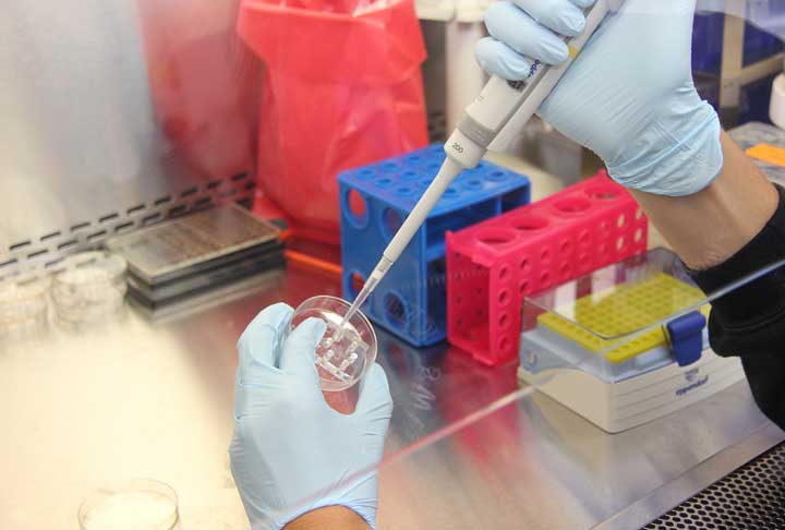 Este resultado abre novas portas para a pesquisa em doenças como as neurológicas e para a própria biomedicina.