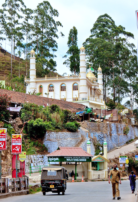 Em Munnar, os turistas podem explorar trilhas desafiadoras, museus e pontos de vista panorâmicos, como o Pico de Anamudi, a montanha mais alta do sul da Índia. 