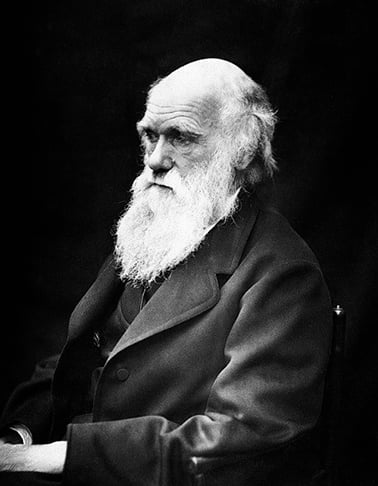 CHARLES DARWIN  (1809–1882):
Desenvolveu a teoria da evolução por seleção natural, que é a base da biologia moderna.