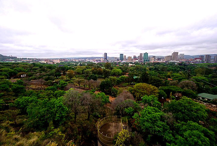  National Zoological Gardens of South Africa, África do Sul: Como era de se esperar, o zoológico encantador em Pretória, África do Sul, tem a maioria dos animais selvagens africanos. São mais de 9 mil!