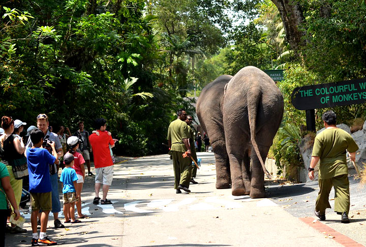 Tem a Floresta Frágil, que parece com uma floresta tropical, a Tundra Congelada, onde vive um urso polar, o Reino Primata, que tem 39 macacos em ilhas diferentes, e o Jardim dos Répteis, com tartarugas, dragões de Komodo e muitas cobras.