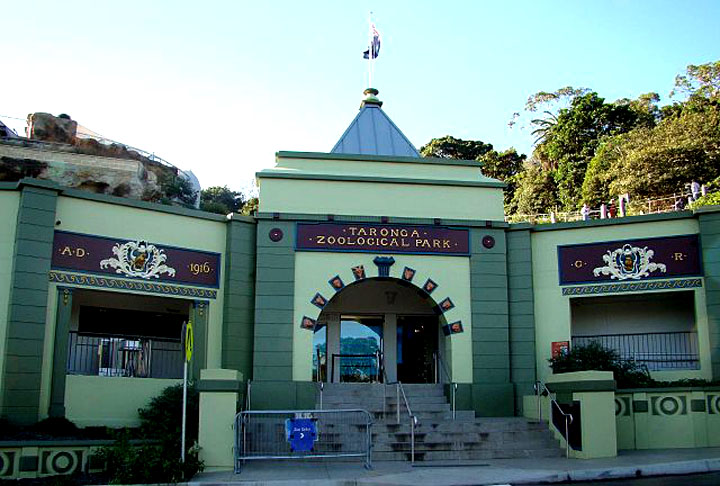 Taronga Zoo, Austrália: A viagem e a paisagem já fazem valer a pena. O Taronga Zoo, do outro lado da baía de Sydney, fica a poucos minutos de ferry do centro da cidade. Entre os mais de 4 mil animais, estão koalas e cangurus, nativos do país.