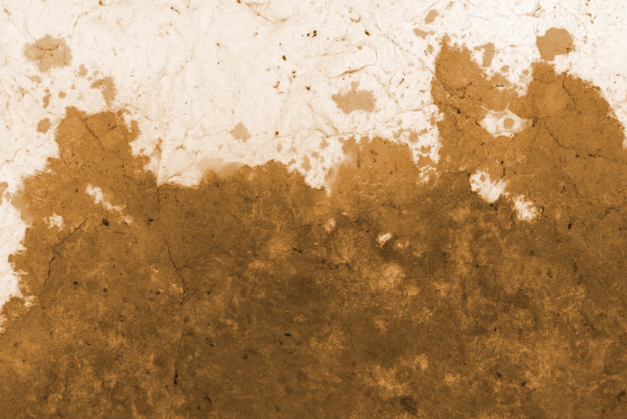 É como ver um rosto em uma nuvem, um animal em uma formação rochosa ou uma mensagem secreta em um café derramado.