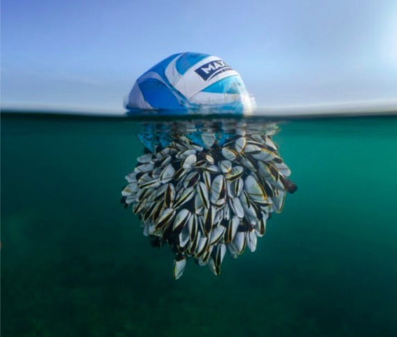 Em 2024, a foto vencedora na categoria geral do prêmio foi do fotógrafo Ryan Stalker, e mostra uma bola de futebol coberta de craustáceos abaixo da superfície do mar.