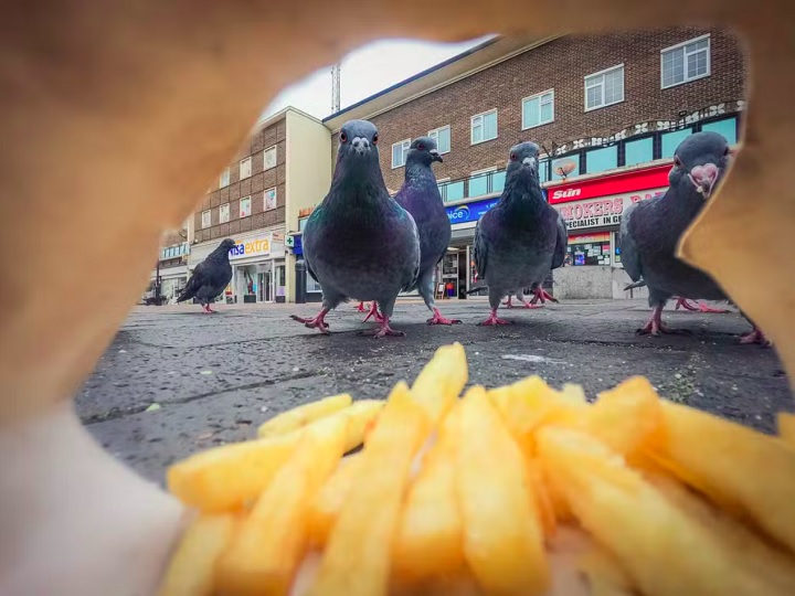 Limpadores de Rua, por Ben Lucas: Este ano, fotos em cenários urbanos ganharam destaque. Essa foto, vencedora na categoria para jovens de 15 a 17 anos, foi feita com uma câmera GoPro escondida dentro de um saco de batatas fritas.