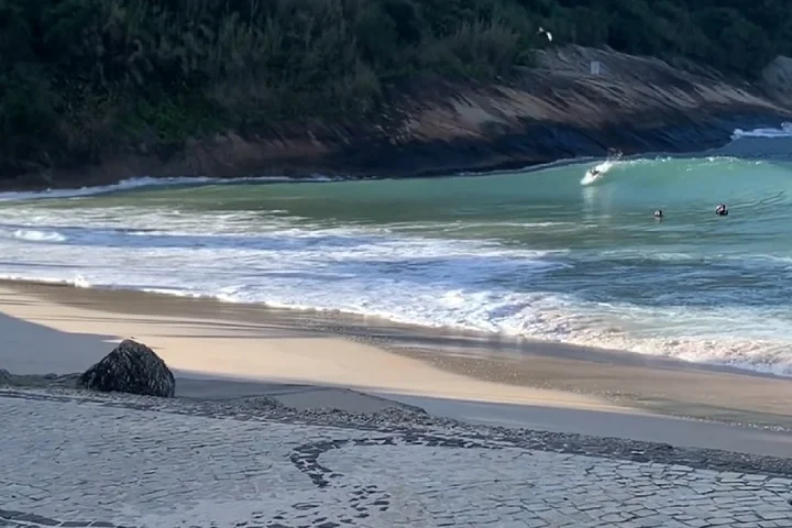 Estudos feitos na Praia de Fora, localizada na Zona Sul da cidade do RJ, mostram uma redução populacional desde os anos 1990.