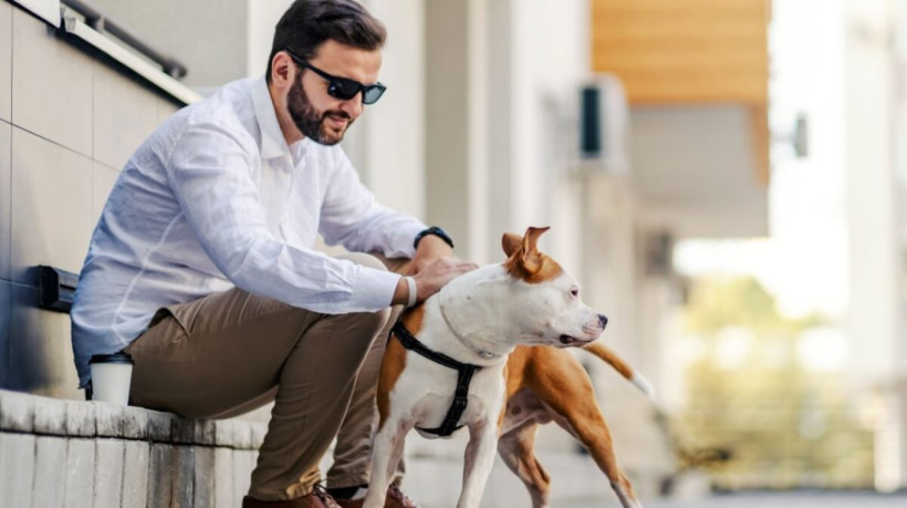 A crescente presença de pets nos lares brasileiros aumenta a procura por apartamentos pet friendly (Imagem: Dusan Petkovic | Shutterstock) 