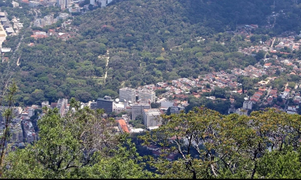 O Jardim Botânico do Rio de Janeiro, que está promovendo a trilha dos Jequitibás, foi inaugurado em 1808 e é um dos espaços verdes mais bem preservados da cidade. Ocupa uma área de 54 hectares no bairro de mesmo nome, na zona sul do Rio.