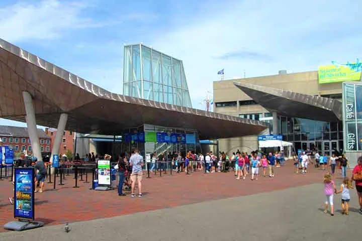 “Este avistamento destaca a importância de cada pesquisa. Embora esperemos ver baleias jubarte, francas e baleias-comuns, o oceano é um ecossistema dinâmico e você nunca sabe o que encontrará”, diz Orla O’Brien, pesquisadora do Anderson Cabot Center for Ocean Life no New England Aquarium. 