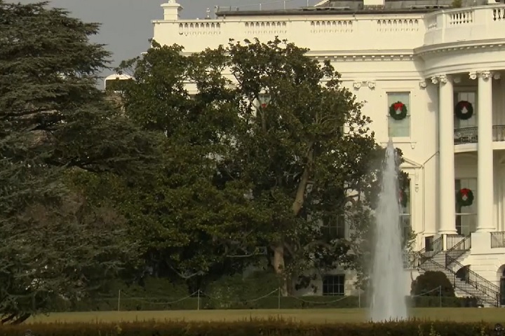 Trump explicou que a árvore será substituída por outra muito bonita e que talvez [será] usada para outros propósitos elevados e nobres.