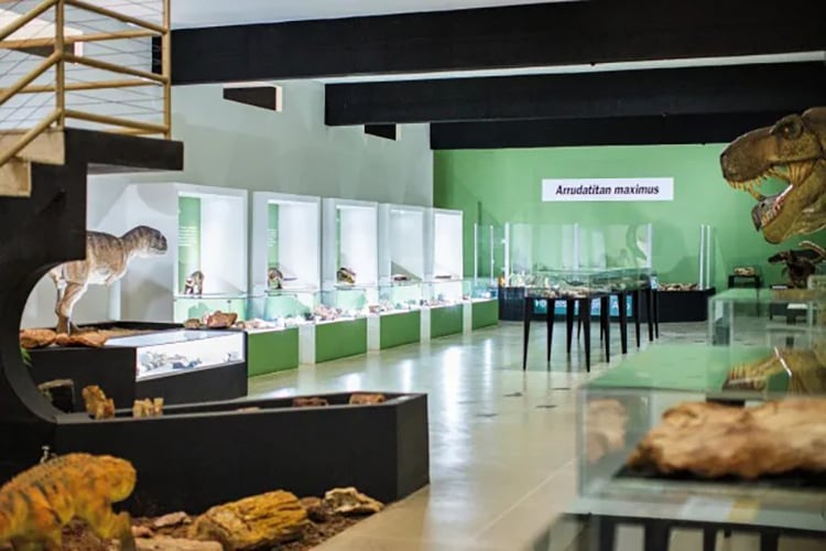 Museu de Paleontologia Antonio Celso de Arruda Campos, São Paulo: Tem uma vasta coleção de espécies do Período Cretáceo, o último da Era dos Dinossauros, entre 145 milhões e 66 milhões de anos atrás.  