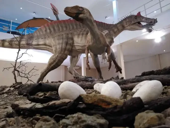 Museu de Paleontologia Plácido Cidade Nuvens: Fica em Santana do Cariri, a 523 km da capital Fortaleza, no Ceará. A pequena cidade, de 18 mil habitantes, é uma potência na pesquisa de fósseis. É chamada Capital Cearense da Paleontologia.